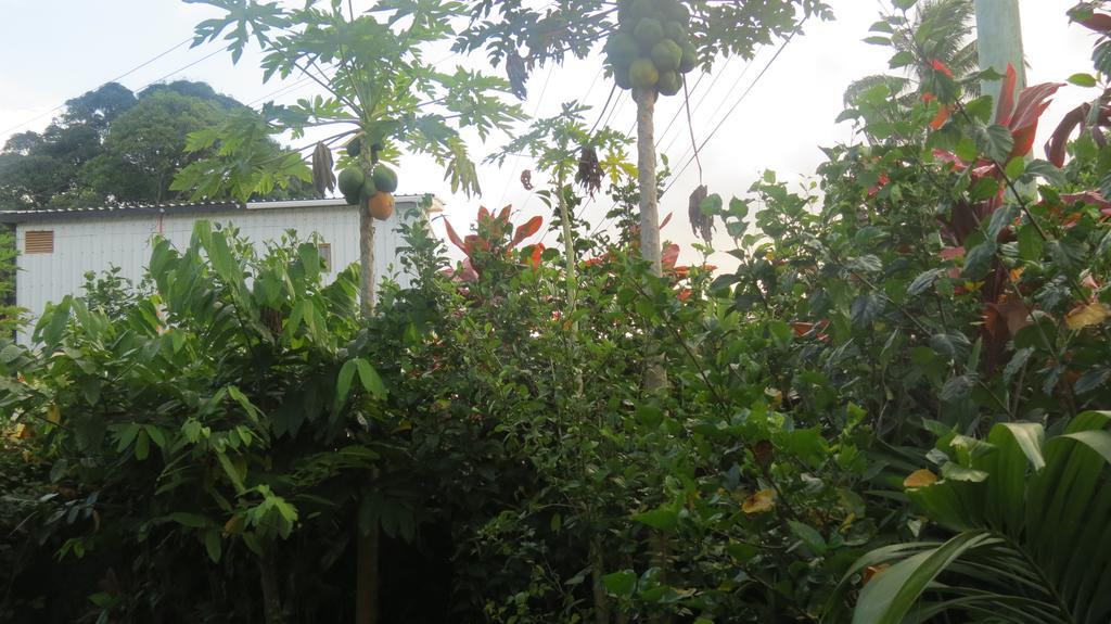 Dayspring Lodge Nuku'alofa Εξωτερικό φωτογραφία