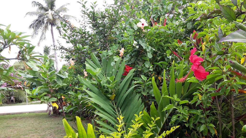 Dayspring Lodge Nuku'alofa Εξωτερικό φωτογραφία