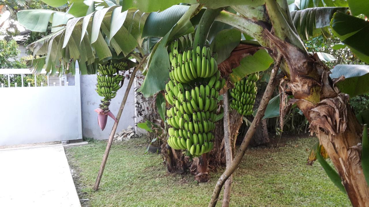 Dayspring Lodge Nuku'alofa Εξωτερικό φωτογραφία