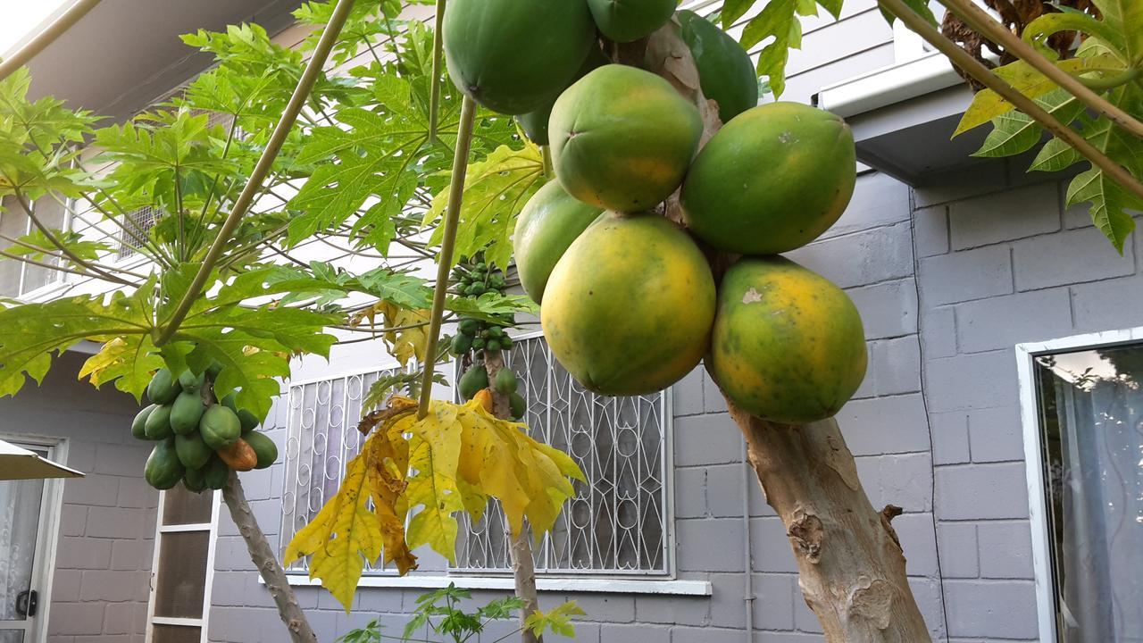 Dayspring Lodge Nuku'alofa Εξωτερικό φωτογραφία